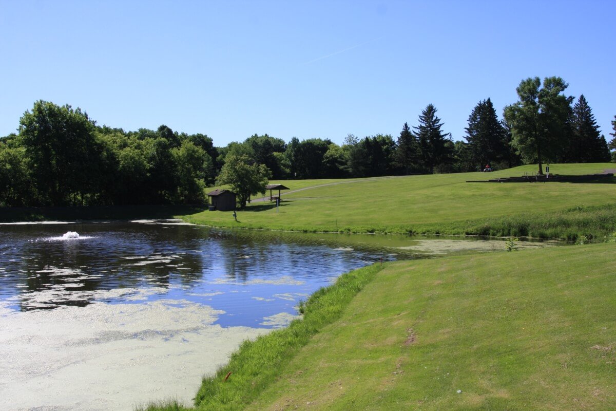 our beautiful pond